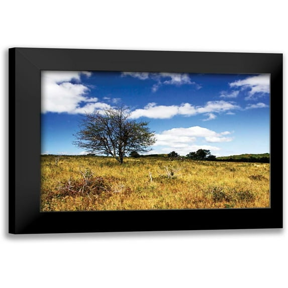 Hausenflock, Alan 14x11 Black Modern Framed Museum Art Print Titled - Big Meadow I