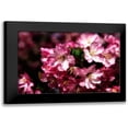 thumbnail image 1 of Hausenflock, Alan 14x11 Black Modern Framed Museum Art Print Titled - Cherry Blossoms I, 1 of 5