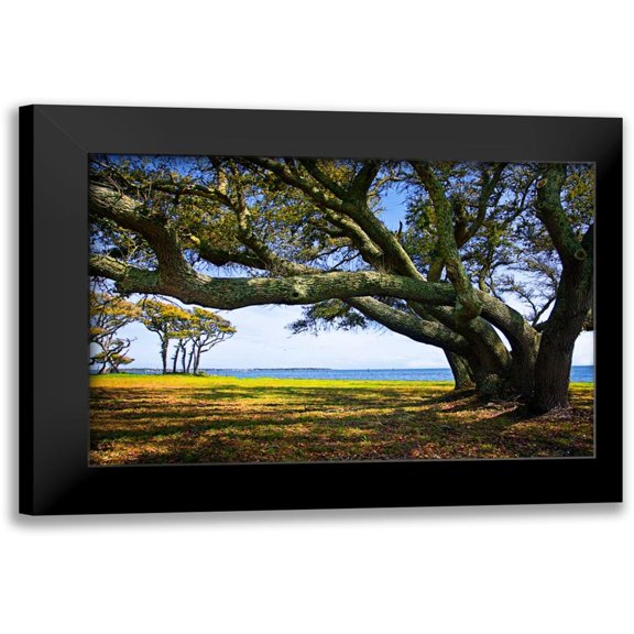 Hausenflock, Alan 14x11 Black Modern Framed Museum Art Print Titled - Live Oaks By The Bay II