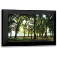 thumbnail image 1 of Hausenflock, Alan 14x11 Black Modern Framed Museum Art Print Titled - Misty Sunrise I, 1 of 5