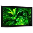 thumbnail image 1 of Alan Hausenflock 14x11 Black Modern Wood Framed Wall Art Titled - Sago Palms, 1 of 6