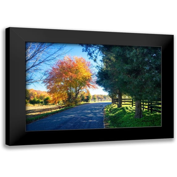 Hausenflock, Alan 14x11 Black Modern Framed Museum Art Print Titled - The Road Home II
