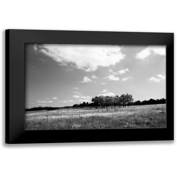 Hausenflock, Alan 14x11 Black Modern Framed Museum Art Print Titled - Tree Line I
