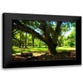 thumbnail image 1 of Hausenflock, Alan 14x11 Black Modern Framed Museum Art Print Titled - Tree Swing, 1 of 5