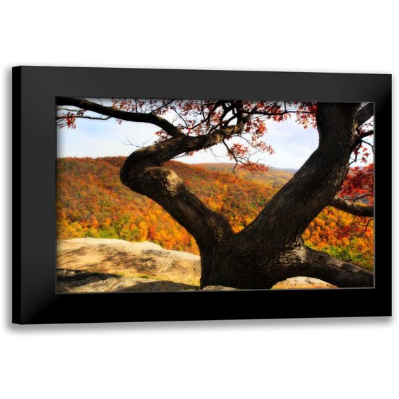 Hausenflock, Alan 14x11 Black Modern Framed Museum Art Print Titled - Wildcat Ridge II