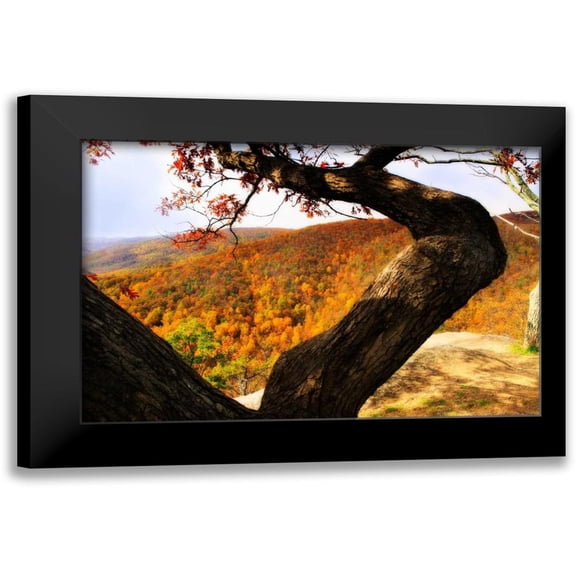Hausenflock, Alan 14x11 Black Modern Framed Museum Art Print Titled - Wildcat Ridge I