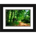 thumbnail image 1 of Hausenflock, Alan 14x11 Black Ornate Wood Framed with Double Matting Museum Art Print Titled - Barbourville Woods, 1 of 4