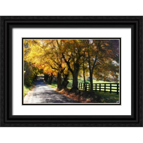 Hausenflock, Alan 14x11 Black Ornate Wood Framed with Double Matting Museum Art Print Titled - Country Road I