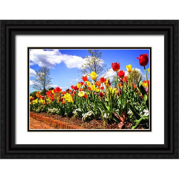 Hausenflock, Alan 14x11 Black Ornate Wood Framed with Double Matting Museum Art Print Titled - Flower Border II