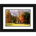 thumbnail image 1 of Hausenflock, Alan 14x11 Black Ornate Wood Framed with Double Matting Museum Art Print Titled - Keswick Pasture II, 1 of 4