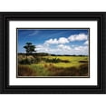 thumbnail image 1 of Hausenflock, Alan 14x11 Black Ornate Wood Framed with Double Matting Museum Art Print Titled - Marshland I, 1 of 4