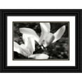 thumbnail image 1 of Hausenflock, Alan 14x11 Black Ornate Wood Framed with Double Matting Museum Art Print Titled - Saucer Magnolia II, 1 of 4