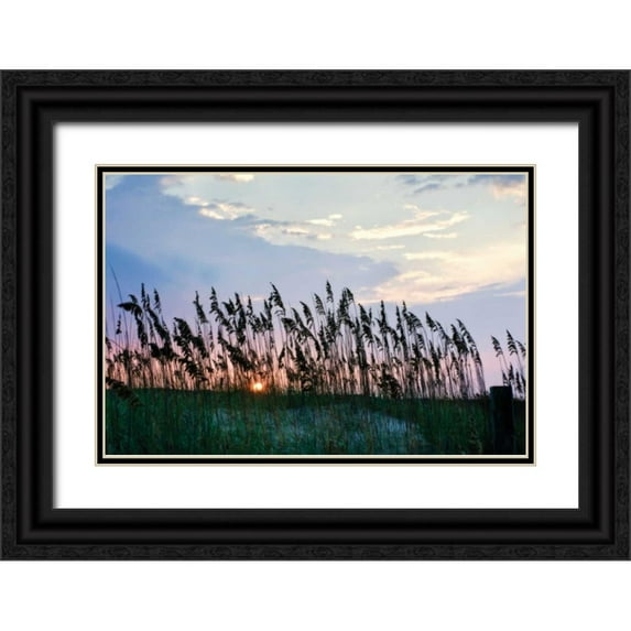 Hausenflock, Alan 14x11 Black Ornate Wood Framed with Double Matting Museum Art Print Titled - Sea Oats on Lavender II