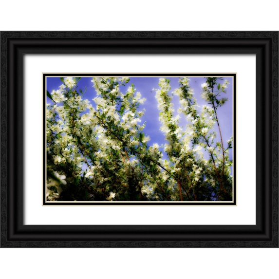 Hausenflock, Alan 14x11 Black Ornate Wood Framed with Double Matting Museum Art Print Titled - Spring Show I