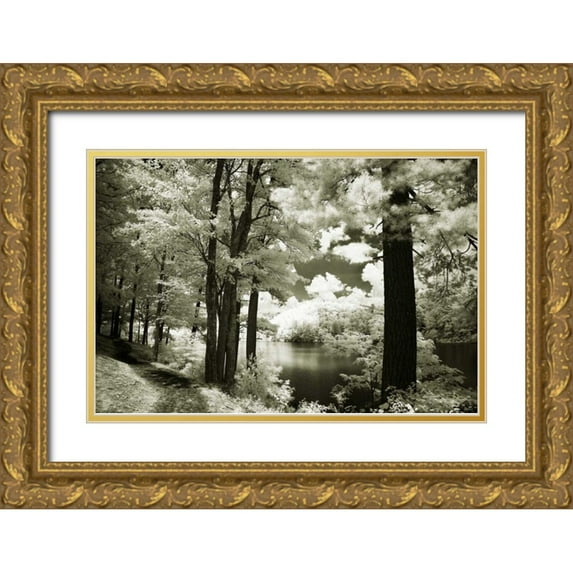 Hausenflock, Alan 14x11 Gold Ornate Wood Framed with Double Matting Museum Art Print Titled - Along the Lakeshore I