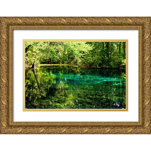 Hausenflock, Alan 14x11 Gold Ornate Wood Framed with Double Matting Museum Art Print Titled - Clear Spring Waters I
