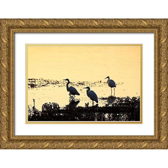 Hausenflock, Alan 14x11 Gold Ornate Wood Framed with Double Matting Museum Art Print Titled - Egrets in the Sunrise II