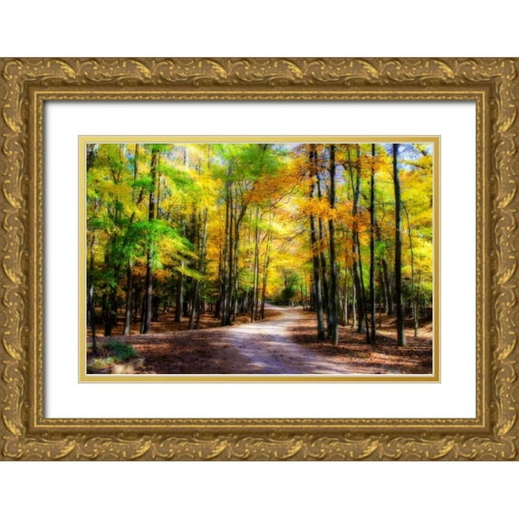 Hausenflock, Alan 14x11 Gold Ornate Wood Framed with Double Matting Museum Art Print Titled - Goose Pond Lane II