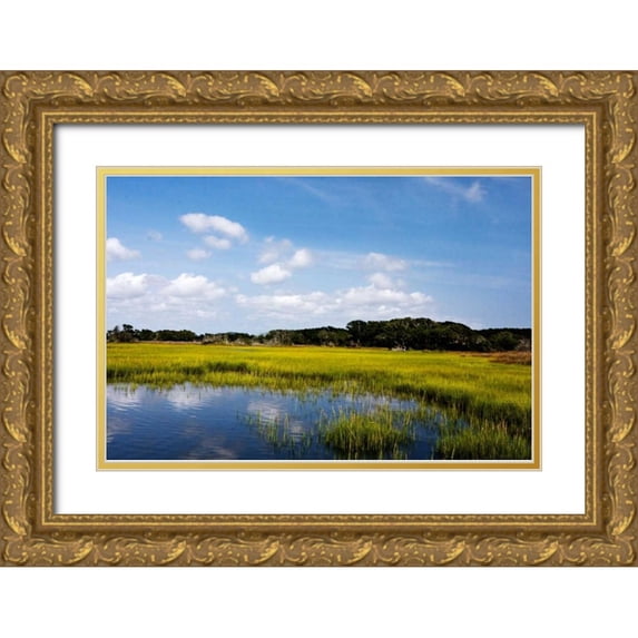 Hausenflock, Alan 14x11 Gold Ornate Wood Framed with Double Matting Museum Art Print Titled - Marshland II