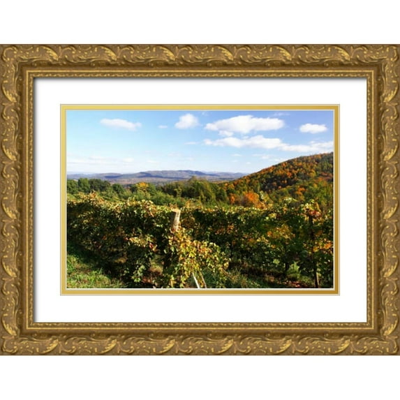 Hausenflock, Alan 14x11 Gold Ornate Wood Framed with Double Matting Museum Art Print Titled - Mountain Vineyard II