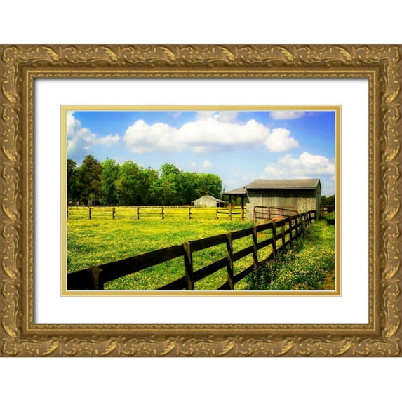 Hausenflock, Alan 14x11 Gold Ornate Wood Framed with Double Matting Museum Art Print Titled - Spring on the Ranch