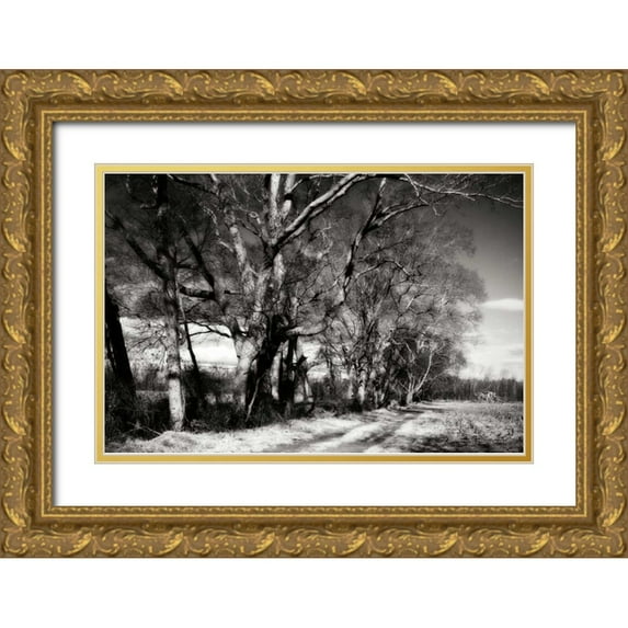 Hausenflock, Alan 14x11 Gold Ornate Wood Framed with Double Matting Museum Art Print Titled - Winter Fields I
