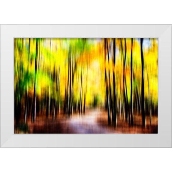 Hausenflock, Alan 14x11 White Modern Wood Framed Museum Art Print Titled - Autumn Impressions IV