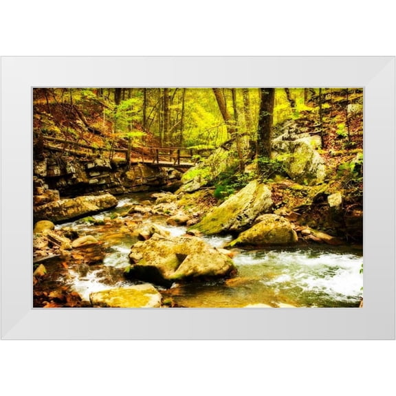 Hausenflock, Alan 14x11 White Modern Wood Framed Museum Art Print Titled - Covington Woods II