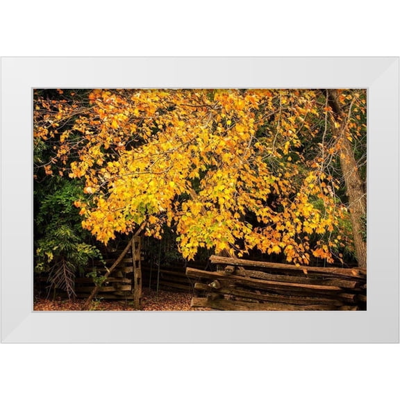 Hausenflock, Alan 14x11 White Modern Wood Framed Museum Art Print Titled - Late Fall Day II