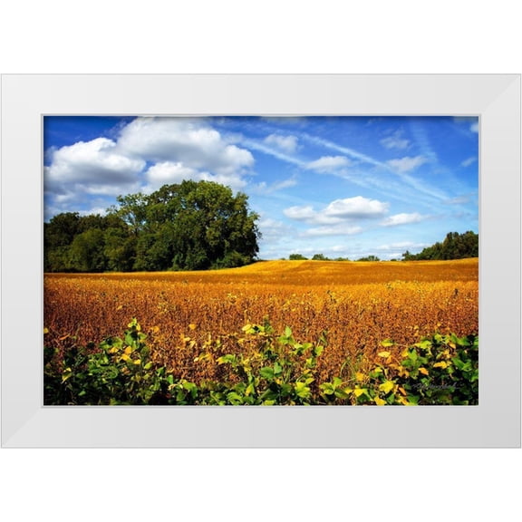 Hausenflock, Alan 14x11 White Modern Wood Framed Museum Art Print Titled - Soybean Harvest