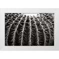 thumbnail image 1 of Hausenflock, Alan 14x11 White Modern Wood Framed Museum Art Print Titled - Spiny Rows, 1 of 4