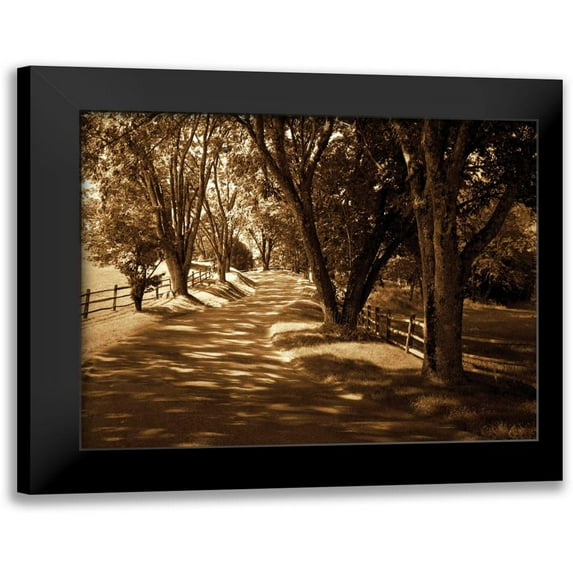 Hausenflock, Alan 14x12 Black Modern Framed Museum Art Print Titled - Ash Lawn II