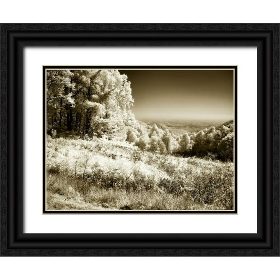 Hausenflock, Alan 14x12 Black Ornate Wood Framed with Double Matting Museum Art Print Titled - Swift Run Gap I