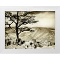 thumbnail image 1 of Hausenflock, Alan 14x12 White Modern Wood Framed Museum Art Print Titled - Lone Pine II, 1 of 4