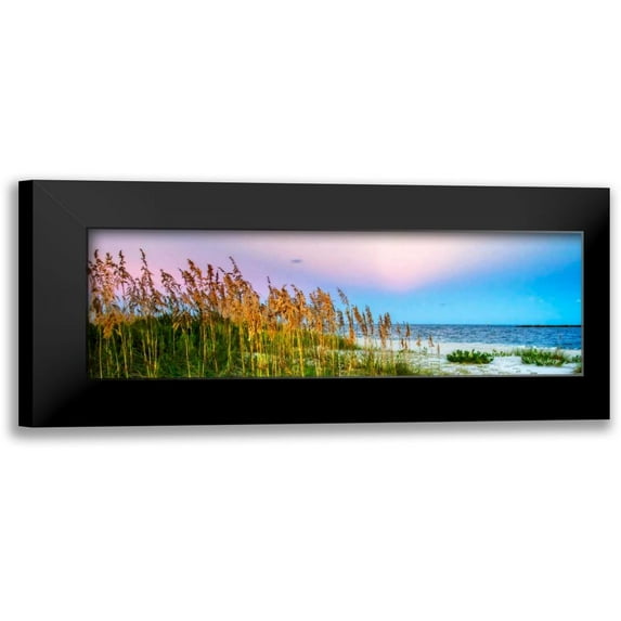 Hausenflock, Alan 14x7 Black Modern Framed Museum Art Print Titled - Days End II