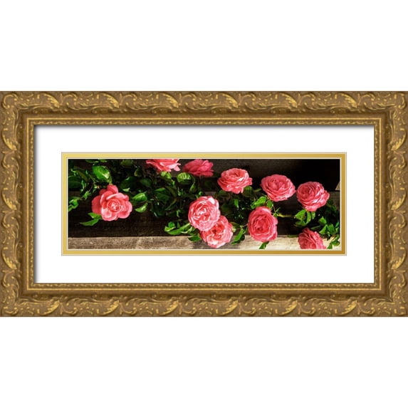 Hausenflock, Alan 14x7 Gold Ornate Wood Framed with Double Matting Museum Art Print Titled - Climbing Pink Ladies II