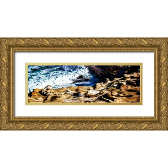 Hausenflock, Alan 14x7 Gold Ornate Wood Framed with Double Matting Museum Art Print Titled - La Jolla Sea Lions II