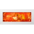 thumbnail image 1 of Hausenflock, Alan 14x7 White Modern Wood Framed Museum Art Print Titled - Petals I, 1 of 4