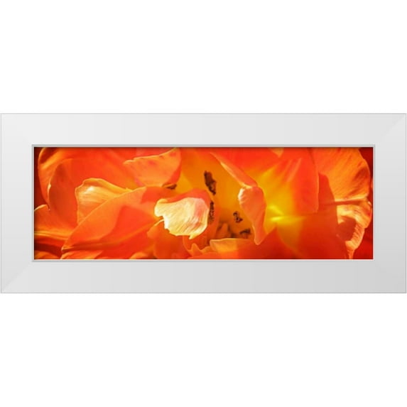 Hausenflock, Alan 14x7 White Modern Wood Framed Museum Art Print Titled - Petals I