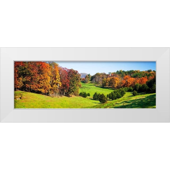 Hausenflock, Alan 14x7 White Modern Wood Framed Museum Art Print Titled - Rolling Autumn Hills I