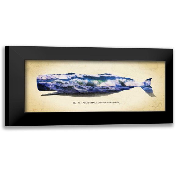 Hausenflock, Alan 14x8 Black Modern Framed Museum Art Print Titled - Sperm Whale