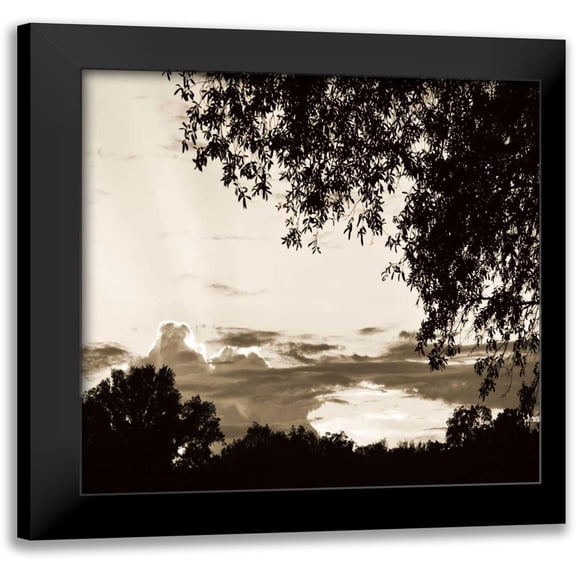 Hausenflock, Alan 15x15 Black Modern Framed Museum Art Print Titled - Sunset Trees Sepia Sq I