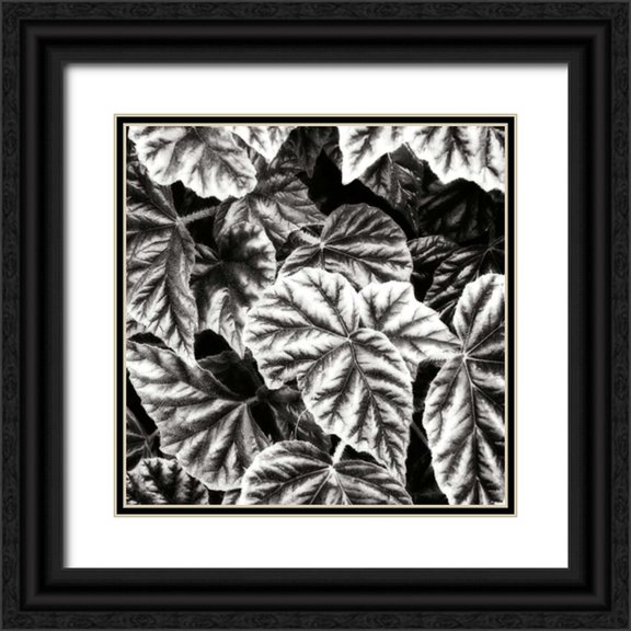 Hausenflock, Alan 15x15 Black Ornate Wood Framed with Double Matting Museum Art Print Titled - Leafy Collage II