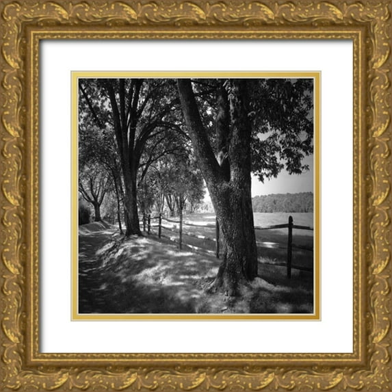 Hausenflock, Alan 15x15 Gold Ornate Wood Framed with Double Matting Museum Art Print Titled - Summer Stroll Square II