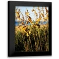 thumbnail image 1 of Hausenflock, Alan 17x24 Black Modern Framed Museum Art Print Titled - A Perfect Day III, 1 of 5