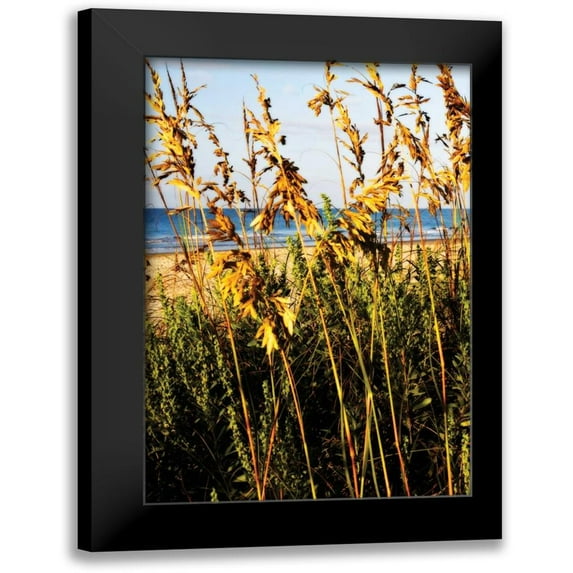 Hausenflock, Alan 17x24 Black Modern Framed Museum Art Print Titled - A Perfect Day III