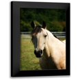 thumbnail image 1 of Hausenflock, Alan 17x24 Black Modern Framed Museum Art Print Titled - Babe, 1 of 5
