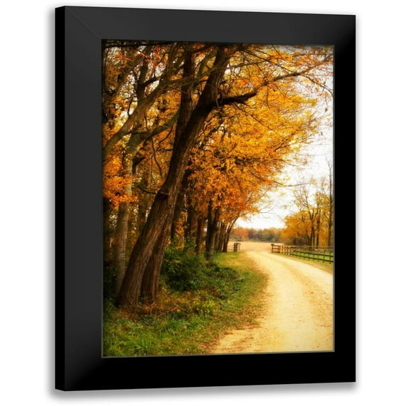 Hausenflock, Alan 17x24 Black Modern Framed Museum Art Print Titled - Gray Skies II