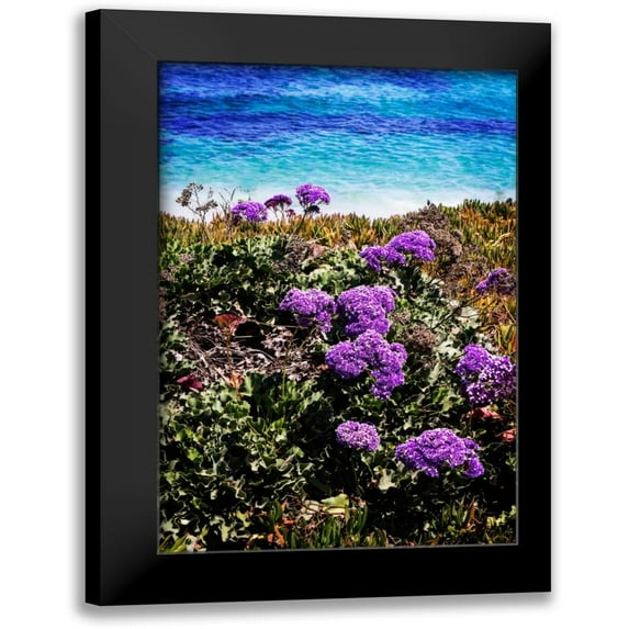 Hausenflock, Alan 17x24 Black Modern Framed Museum Art Print Titled - La Jolla Beach I