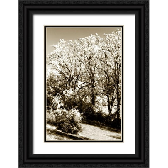 Hausenflock, Alan 17x24 Black Ornate Wood Framed with Double Matting Museum Art Print Titled - Autumn Meadow II